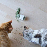 Tabby James Premium Orgánica catnip Regular Cut Set, 0,5 oz - BESTMASCOTA.COM