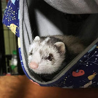 FULUE Ferret Rat Hamaca cama, Ferret Nation Jaula Accesorios Kit Set Staff House y Hideouts Cueva para Guinea Pig hurón - BESTMASCOTA.COM