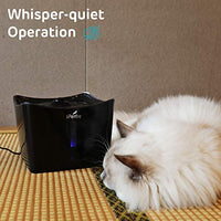 iPettie Kamino - Fuente de agua para mascotas con luz LED para gatos y perros, diseño 2020 | Dispensador de agua automático silencioso de 3 L con bomba de puerto USB y filtros dobles - BESTMASCOTA.COM