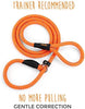 Correa para perro Mighty Paw Slip Rope | 6 pies, talla única, correa de cuerda deslizante. Fácil de poner, no necesita collar o arnés. Cuerda de escalador duradera y resistente a la intemperie con costuras reflectantes (naranja) - BESTMASCOTA.COM