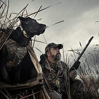 SportDOG Brand 425 - Collar electrónico con control remoto (500 yardas, estático, vibratorio y tono, impermeable, recargable, incluye nueva serie X) - BESTMASCOTA.COM