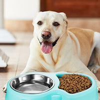 Ordermore Slow Feeder Bowl for Small Dogs & Cats - BESTMASCOTA.COM