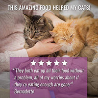 Vital Essentials Vital Cat Freeze-Dried Grain Free Limited Ingredient Cat Treats – Paquete de 3 - BESTMASCOTA.COM