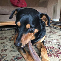 Premium Elk Antlers Dogs | All Natural Antler Dog Chew Elk Bone | Healthy & Long Lasting Aggressive Chewers | Wild Sourced in The USA - Veteran Owned - BESTMASCOTA.COM