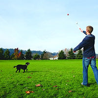 ¡Chuckit! Lanzador deportivo de pelotas para perro. - BESTMASCOTA.COM