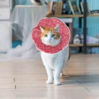 SLSON Collar de recuperación para gato, suave collar de cono para mascotas, protector para después de cirugía, de algodón, cierre ajustable, collar para gato y cachorro, color rosa - BESTMASCOTA.COM