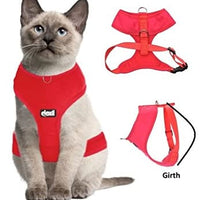 Arnés para gato acolchado y resistente al agua Dexil - BESTMASCOTA.COM