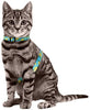Azuza Arnés y Correa para gato para caminar, a prueba de escape, lindos limones en color brillante, suave y ajustable arnés para gatos - BESTMASCOTA.COM