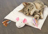 Petlinks Play Pack Cat - BESTMASCOTA.COM