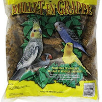 Living World Spray Mijo - BESTMASCOTA.COM