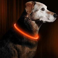 Collar de perro LED BSEEN recargable por USB, brillante para seguridad nocturna, collar de perro de moda, para perros pequeños, medianos y grandes - BESTMASCOTA.COM
