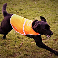 Chaleco reflectante de seguridad para perros, 5 tamaños para adaptarse a perros de 10 libras – 130 libras: alta visibilidad para actividades al aire libre día y noche, mantiene a tu perro visible, seguro de coches y accidentes de caza | Blaze Orange chale - BESTMASCOTA.COM