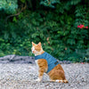 Arnés para gato a prueba de escapes con correa – Chaqueta de forro polar ajustable – Suave y ligero para gatitos, cachorros - BESTMASCOTA.COM