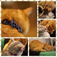 azuza Collar para gato con campana, collar ajustable para gato con pajarita, collares de seguridad para gatos, paquete de 2 - BESTMASCOTA.COM