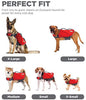 Chaqueta para perros que sean nadadores novatos o de por vida de Outward Hound Dawson. - BESTMASCOTA.COM