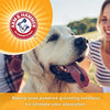 Arm & Hammer Aerosol Champú seco para Perros | Champú sin agua Spray para Perros y Cachorros - BESTMASCOTA.COM