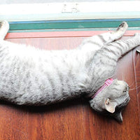 DAIHAQIKO - Collar para gato con campana, ajustable, diseño de gatitos - BESTMASCOTA.COM
