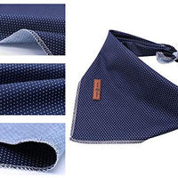 Lionet Paws Bandana para perro pequeño, mediano y grande, pañuelo para perro o gato - BESTMASCOTA.COM