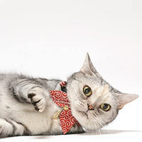 Necoichi Ninja Cat Collar - BESTMASCOTA.COM