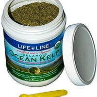 Life Line Pet Nutrition Organic Ocean Kelp Supplement for Skin & Coat, Digestion, Teeth & Gums in Dogs & Cats, 8-Ounce - BESTMASCOTA.COM