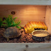 omem Reptile Basking Rampa Terrazas Resina Natural Hecho - BESTMASCOTA.COM