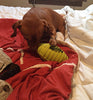 Juguete para perro Nerf de goma - BESTMASCOTA.COM