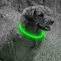 Collar de perro recargable por USB, LED, brilla en la oscuridad, collar para mascotas, resistente al agua, cortable, de TPU, para perros pequeños, medianos y grandes - BESTMASCOTA.COM