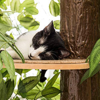 On2Pets Cat Condo Muebles - BESTMASCOTA.COM