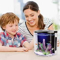 Freesea tanque de peces Betta de 1,4 galones con luz LED y bomba de filtro - BESTMASCOTA.COM