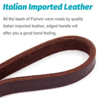 Fairwin - Correa de piel trenzada para perro de 5.9 ft, correa de entrenamiento K9 para pastor alemán - BESTMASCOTA.COM