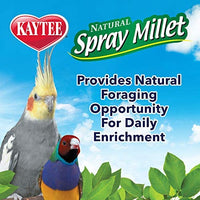 Millet Spray for Birds - BESTMASCOTA.COM