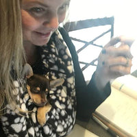 Dukes Digs - Critter Cuddler - Portador de animales pequeños, bolsa para vínculo afectivo, antiansiedad, interactiva, para hacer ejercicio terapéutico para mascotas y para transportar perros pequeños, gatos, erizo, cachorros de viaje - producto de Estados - BESTMASCOTA.COM