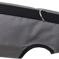 Arnés de gato Kitty Holster - BESTMASCOTA.COM
