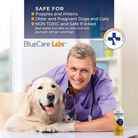 BlueCare Labs - Spray de manzana amarga para perros, antimasticar, para evitar morder y masticar para perros y gatos, espray de tratamiento disuasivo, libre de alcohol y no tóxico para masticar - BESTMASCOTA.COM