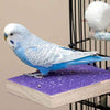 Colorido soporte para perca de pájaro, plataforma de madera natural para parque de recreo, molienda de patas, limpieza para mascotas, loros, parakeet, cacatías, conure Lovebirds - BESTMASCOTA.COM