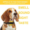 Downtown – Kit para mascotas con cuello de citronela en spray, antiladrillos para perros – Collar seguro y eficaz y con control de ladridos para perros - BESTMASCOTA.COM