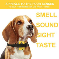 Downtown – Kit para mascotas con cuello de citronela en spray, antiladrillos para perros – Collar seguro y eficaz y con control de ladridos para perros - BESTMASCOTA.COM