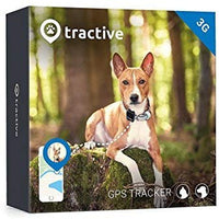 Rastreador de perro Tractive 3G GPS, dispositivo de rastreo para perros con alcance ilimitado - BESTMASCOTA.COM