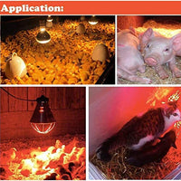 Fengrun Lámpara de calefacción por infrarrojos para granja de pollo, granja de cerdo, mascotas, bombillas Yuba, en el baño en invierno de cristal duro a prueba de explosiones (2 colores, 250 W, 120 V/240 V) - BESTMASCOTA.COM