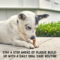 Frontline Oral Defense Daily Dental Masticables para perros pequeños - BESTMASCOTA.COM