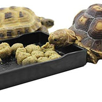ozzptuu mascota reptil rectángulo Bol de comida de plástico bandeja plato de alimentación para tortuga de agua Lagartos Horned Frogs - BESTMASCOTA.COM