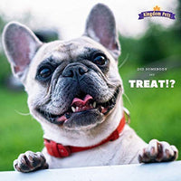 Kingdom Pets Premium Duck Jerky Dog Treats - BESTMASCOTA.COM