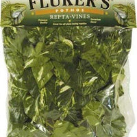 Flúor de Pothos Repta Vines para Reptiles y Anfibios - BESTMASCOTA.COM