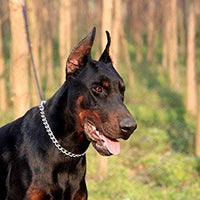 SGODA - Collar de entrenamiento para perros - BESTMASCOTA.COM