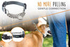 Collar de entrenamiento Mighty Paw, collar Martingale, calidad premium, limitado, collar cincha, collar reflectante para perros - BESTMASCOTA.COM