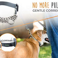 Collar de entrenamiento Mighty Paw, collar Martingale, calidad premium, limitado, collar cincha, collar reflectante para perros - BESTMASCOTA.COM