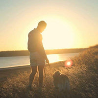 Toozey - Correa para perro de 4.9 ft, correa de cuerda con cómodo mango acolchado e hilos reflectantes, resistente correa trenzada para perros medianos y grandes - BESTMASCOTA.COM