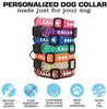 Collar de perro personalizado de Buttonsmith – Impresión permanente resistente a la decoloración, hebilla de grado militar resistente al óxido, resistente a olores y moho, elección de 5 tamaños, fabricado en los Estados Unidos - BESTMASCOTA.COM
