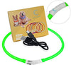 Collar LED para perro, recargable por USB, collar brillante para perro, cuello iluminado, mejora la seguridad y visibilidad de la mascota en la noche, 3 modos intermitentes, resistente al agua, collar iluminado para perros pequeños y medianos grandes - BESTMASCOTA.COM