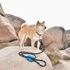 ZippyPaws Accesorio con bolsas para los desechos de tu perro, se ubica en la correa - BESTMASCOTA.COM